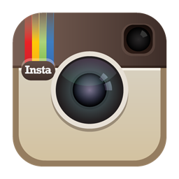 instagramIcon